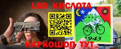 гидра Заводоуковск