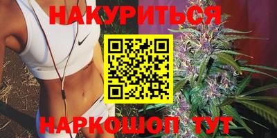 стаф Жуковский