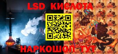 гидра Заводоуковск