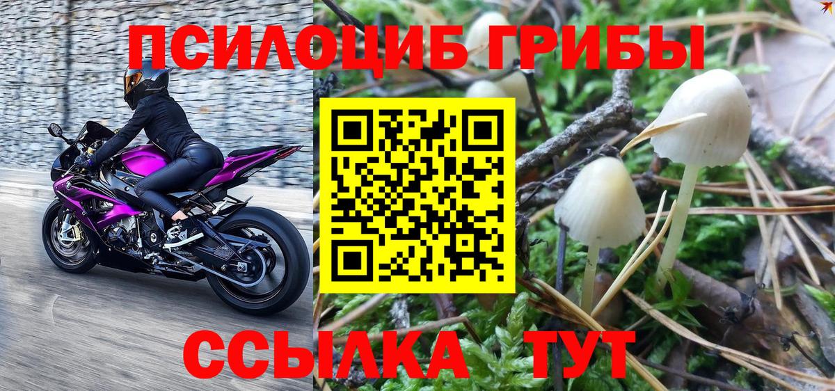 Лесосибирск  закладка  Галлюциногенные грибы Magic Shrooms  Вход с VPN  Галлюциногенные грибы Psilocybe 